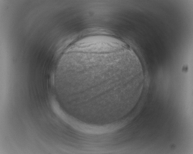 X0000113160014200910161255