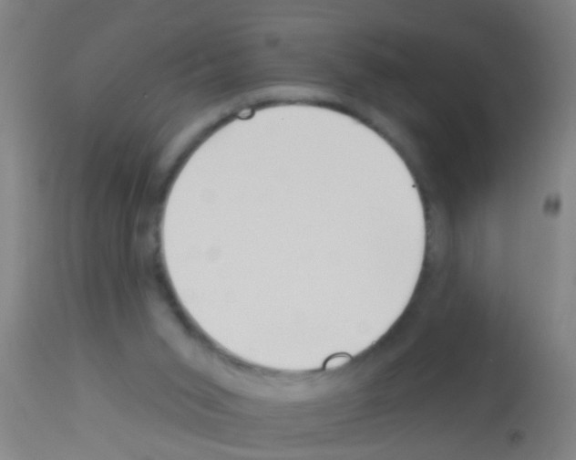 X0000113160015200910161255