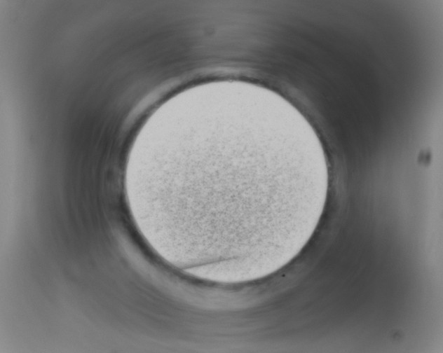 X0000113160016200910161255