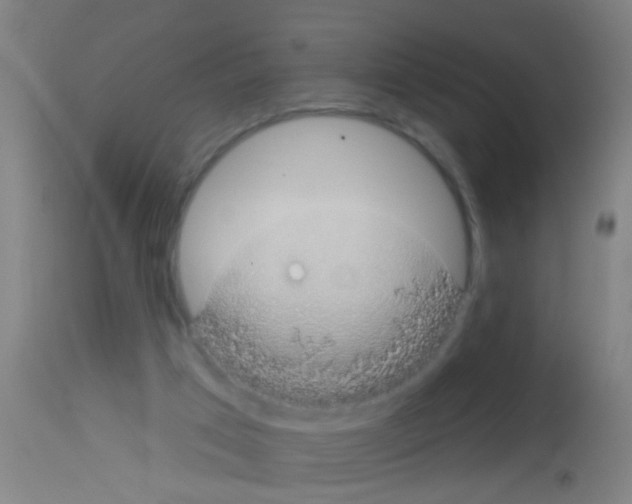 X0000113160017200910161255