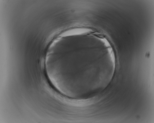 X0000113160019200910161254