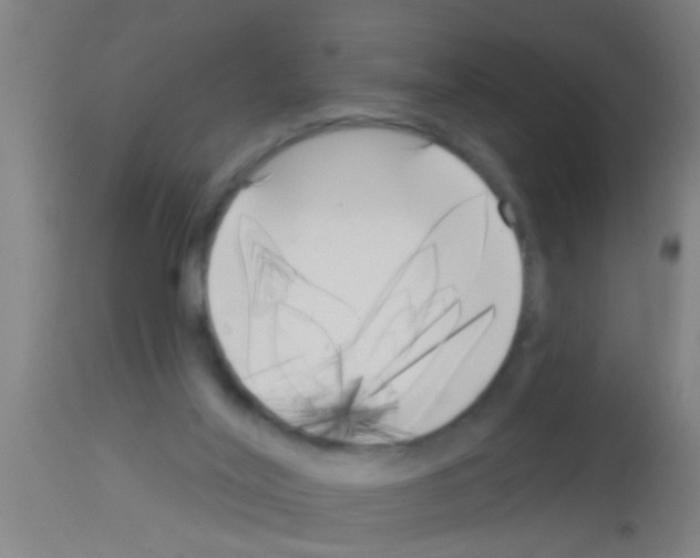 X0000113160020200910161254