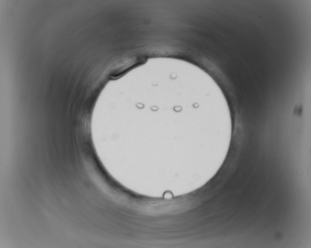 X0000113160021200910161254