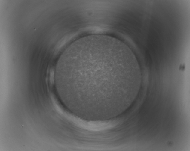 X0000113160022200910161254