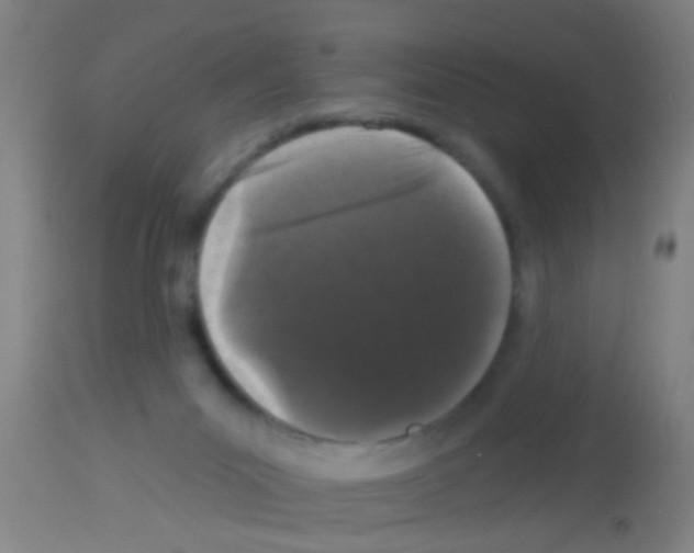 X0000113160023200910161254