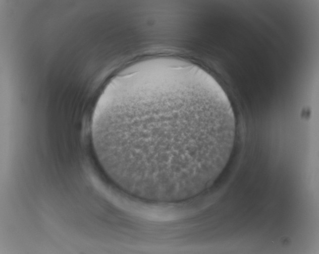 X0000113160024200910161254