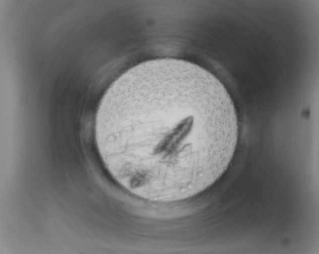 X0000113160026200910161254