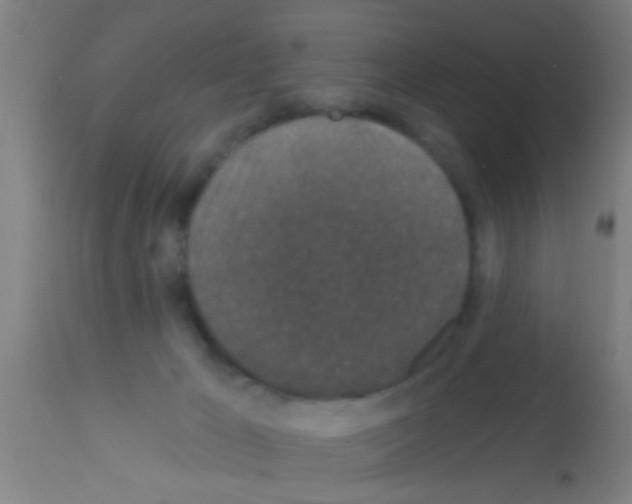 X0000113160029200910161254