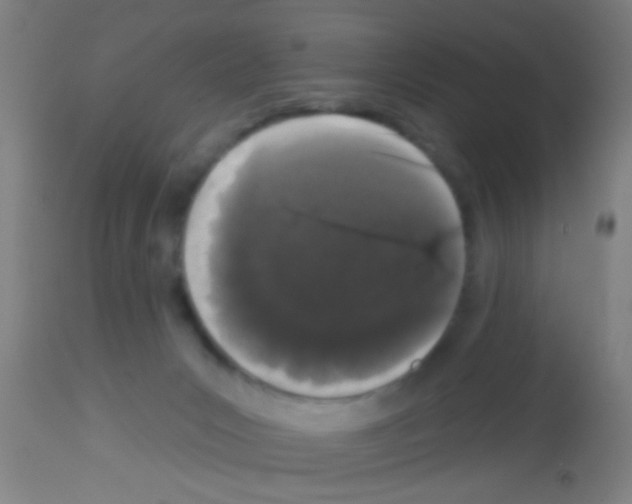 X0000113160031200910161254