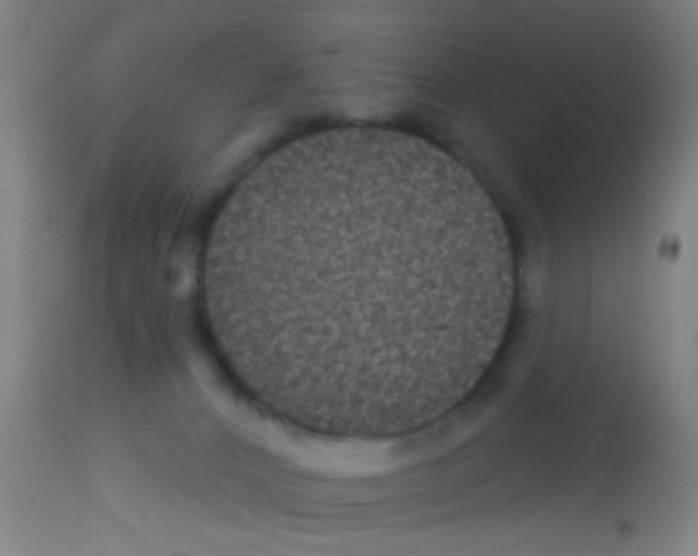 X0000113160032200910161254