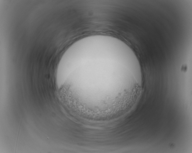 X0000113160033200910161254