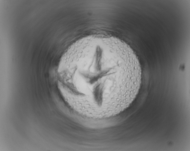 X0000113160034200910161254