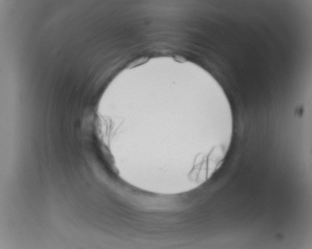 X0000113160036200910161254