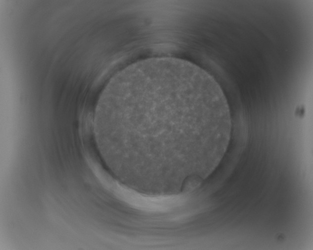 X0000113160038200910161254