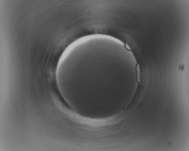 X0000113160039200910161254