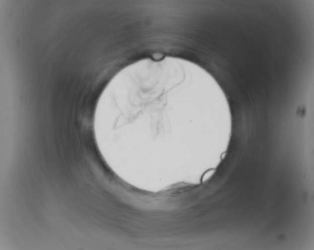 X0000113160040200910161254