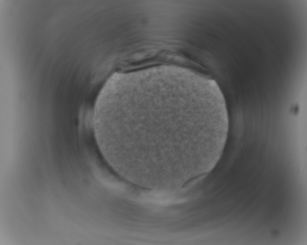 X0000113160041200910161254