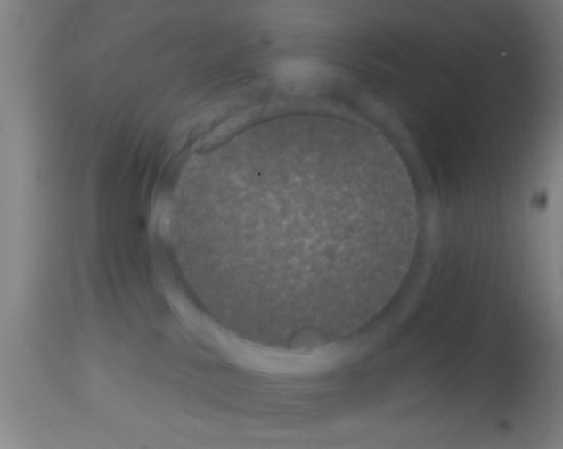 X0000113160042200910161254