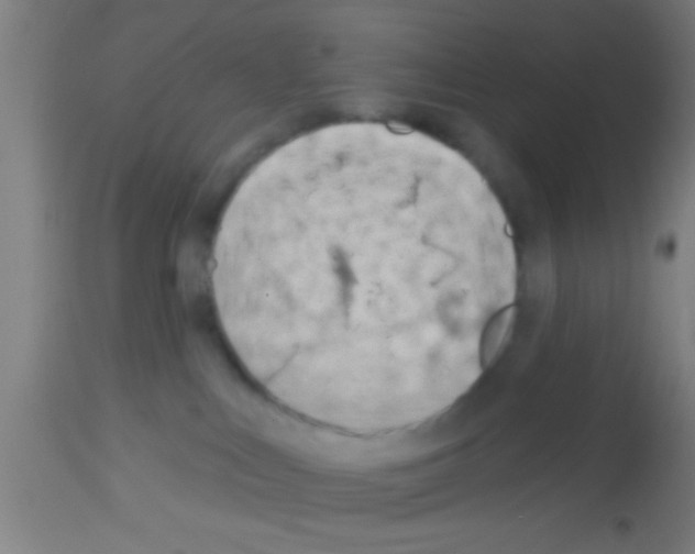 X0000113160043200910161254