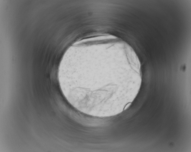 X0000113160044200910161254