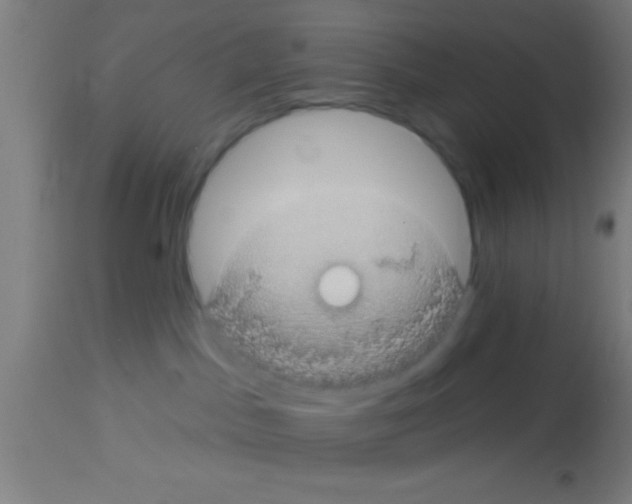 X0000113160045200910161254