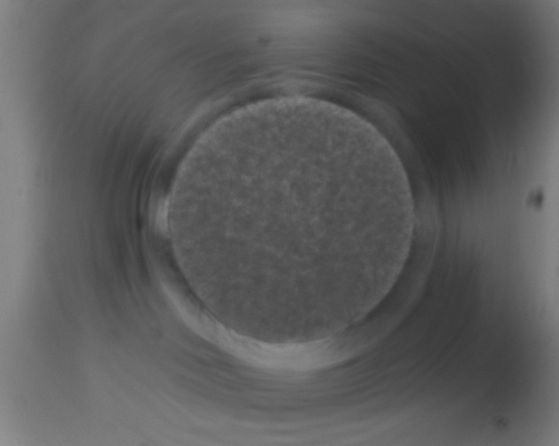 X0000113160046200910161254