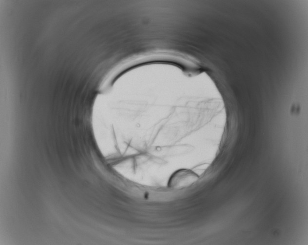 X0000113160048200910161254