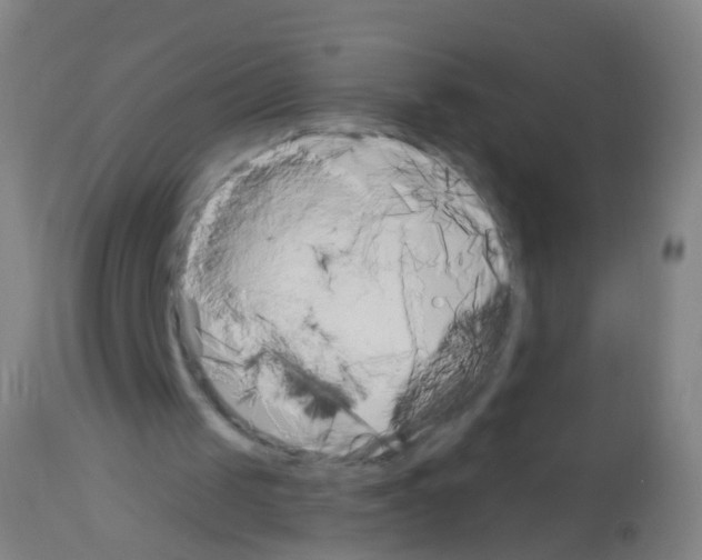 X0000113160049200910161253