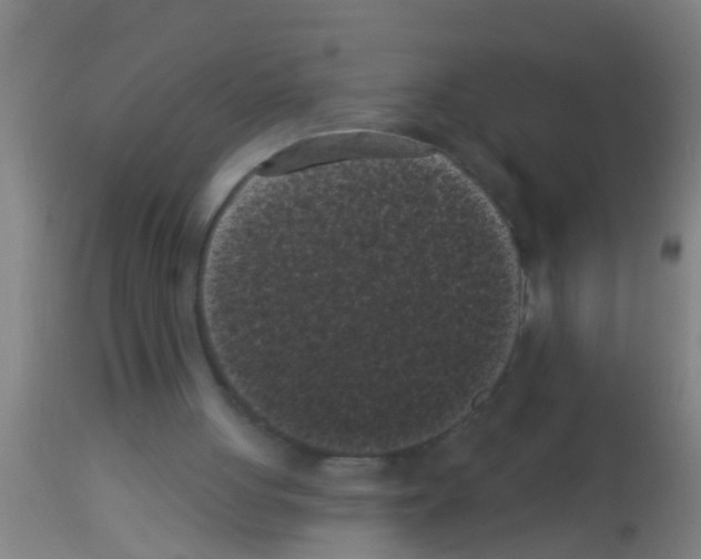 X0000113160051200910161253