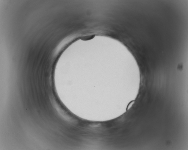 X0000113160054200910161253