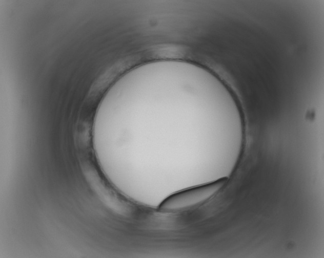 X0000113160057200910161254