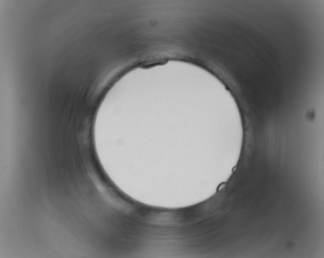 X0000113160058200910161254