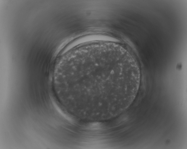 X0000113160059200910161254