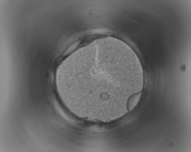 X0000113160061200910161254