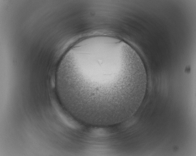 X0000113160062200910161254