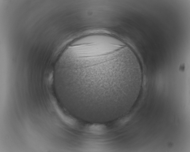 X0000113160063200910161254