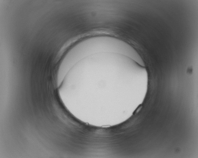 X0000113160064200910161254