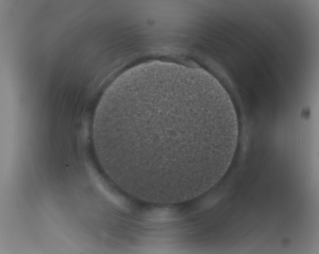 X0000113160065200910161254