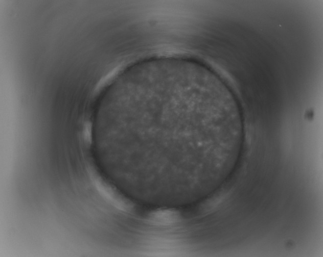 X0000113160067200910161254