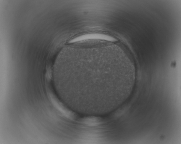 X0000113160069200910161254