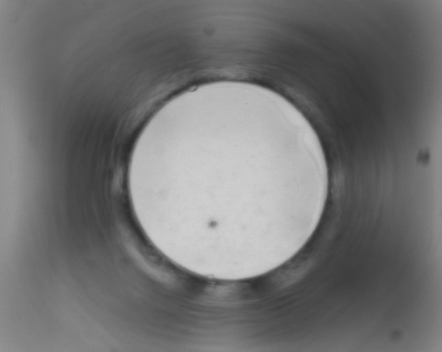 X0000113160072200910161254