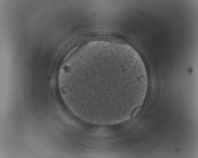 X0000113160074200910161254