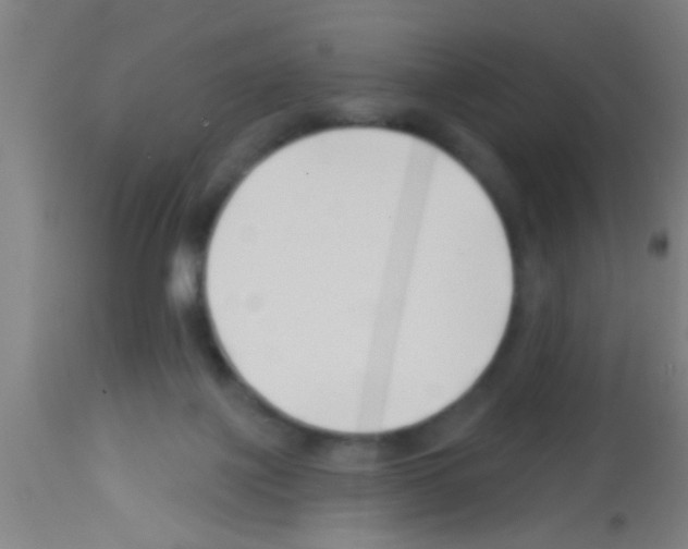 X0000113160075200910161254