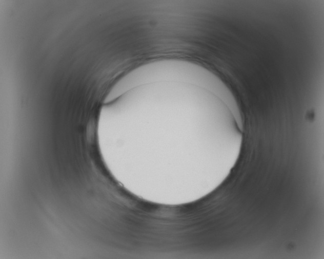 X0000113160076200910161254