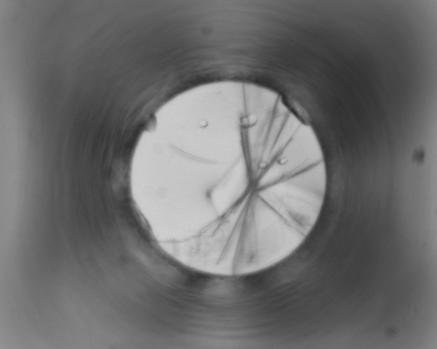 X0000113160077200910161254