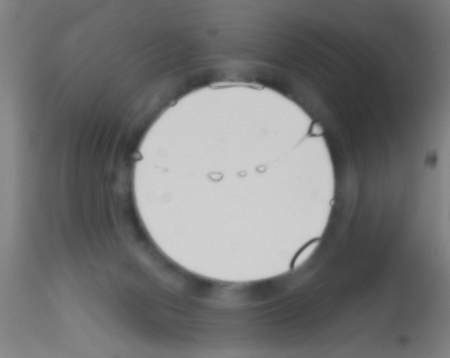 X0000113160078200910161254