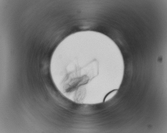 X0000113160082200910161254