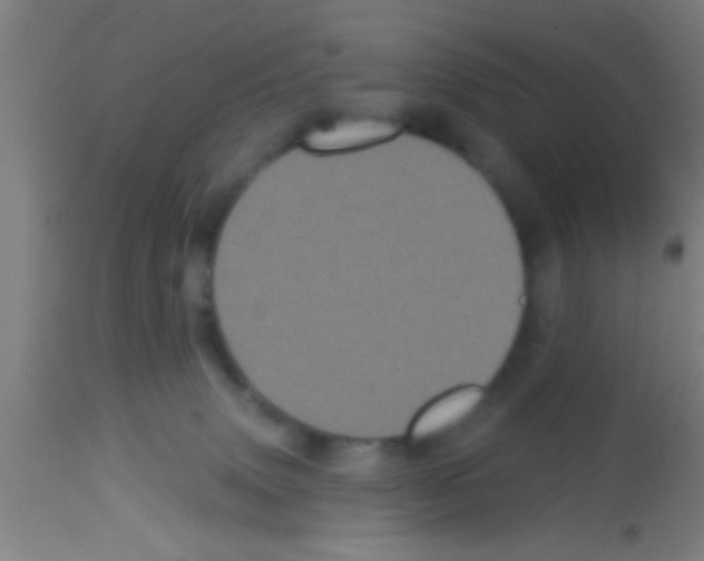 X0000113160083200910161254