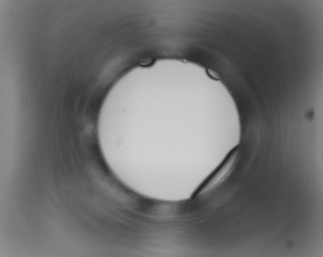 X0000113160084200910161254