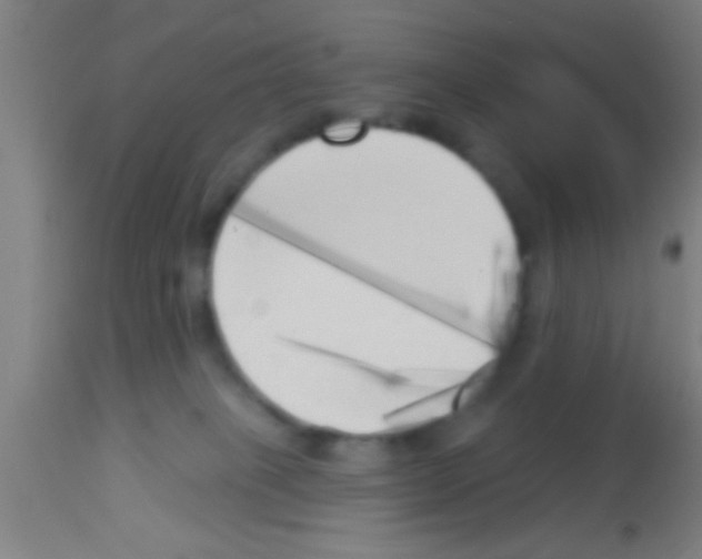 X0000113160085200910161254